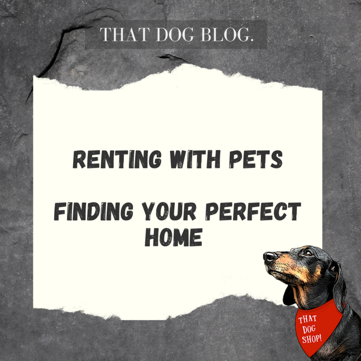 Renting with Pets - Finding & keeping your perfect home!
