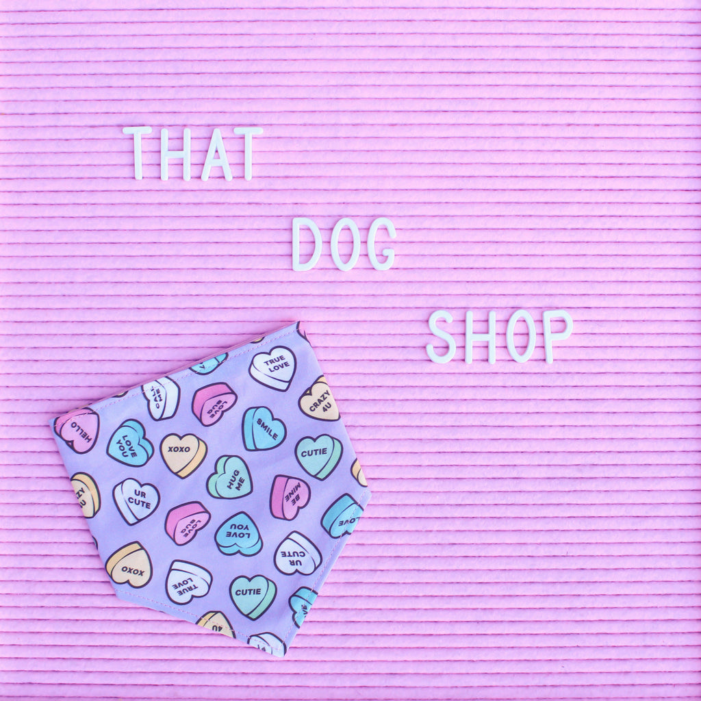 Dog Bandana - Valentine Candy Hearts