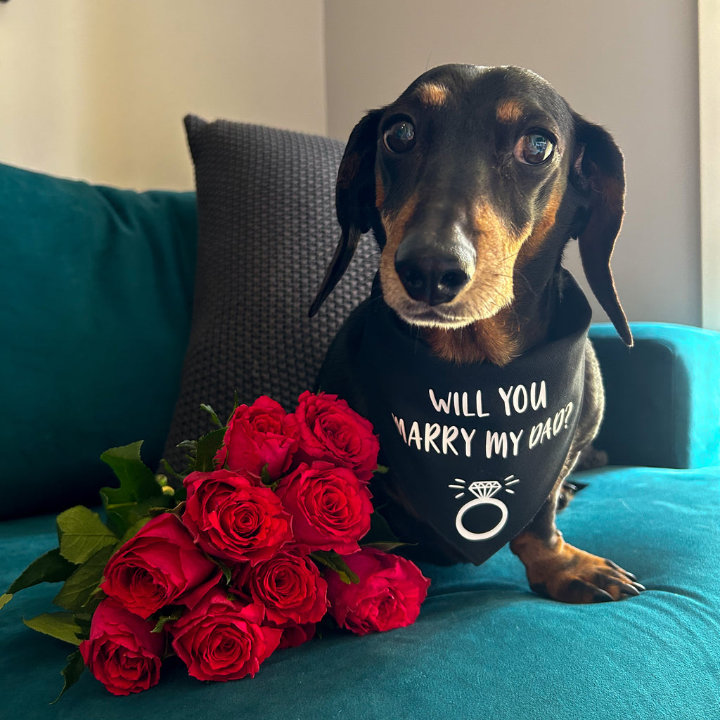 Engagement/Wedding/Proposal Dog Bandana - Will You Marry My Dad/Mum?