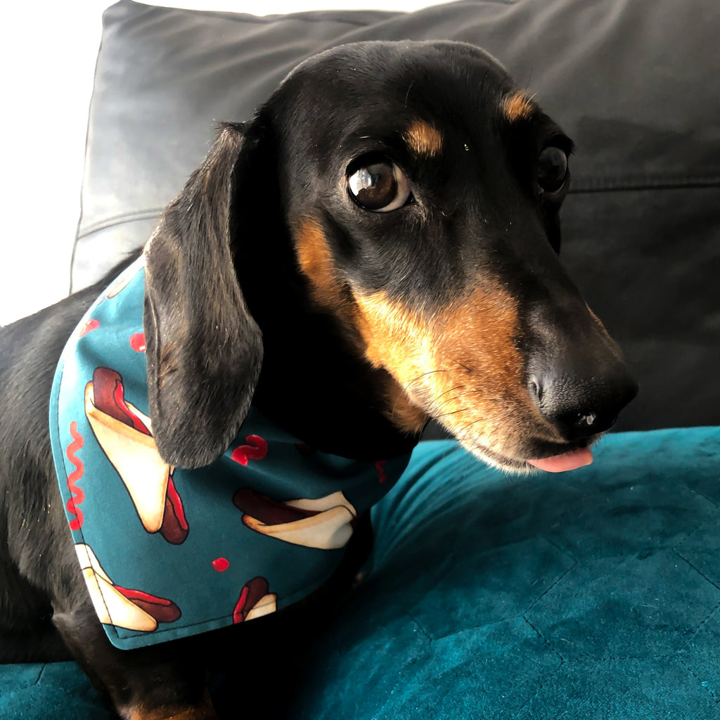 Dog Bandana - Sausage Sizzle