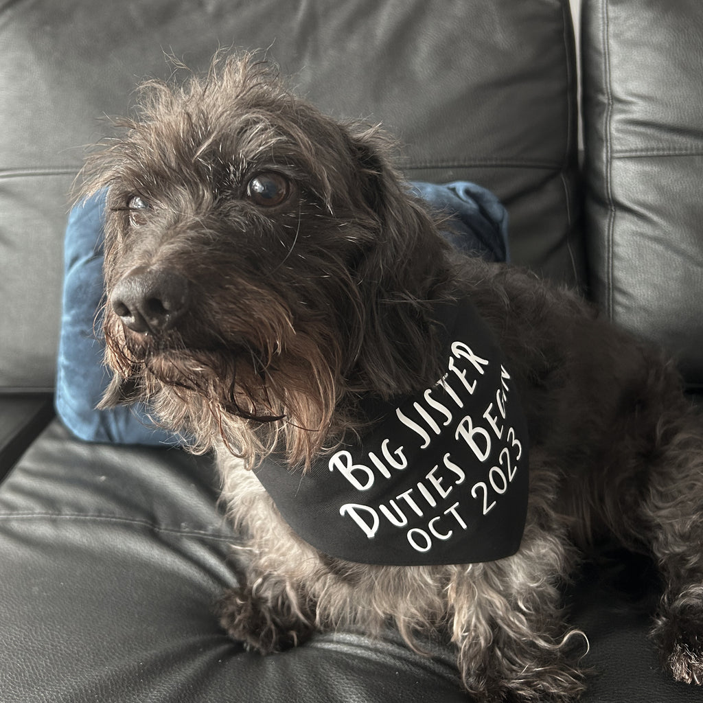 Big Sister Duties Pregnancy Announcement Dog Bandana That Dog Shop