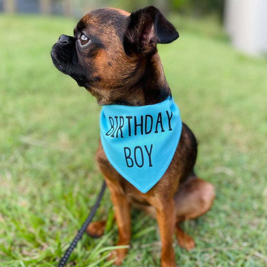 Birthday Dog Bandana - Birthday Girl/Birthday Boy