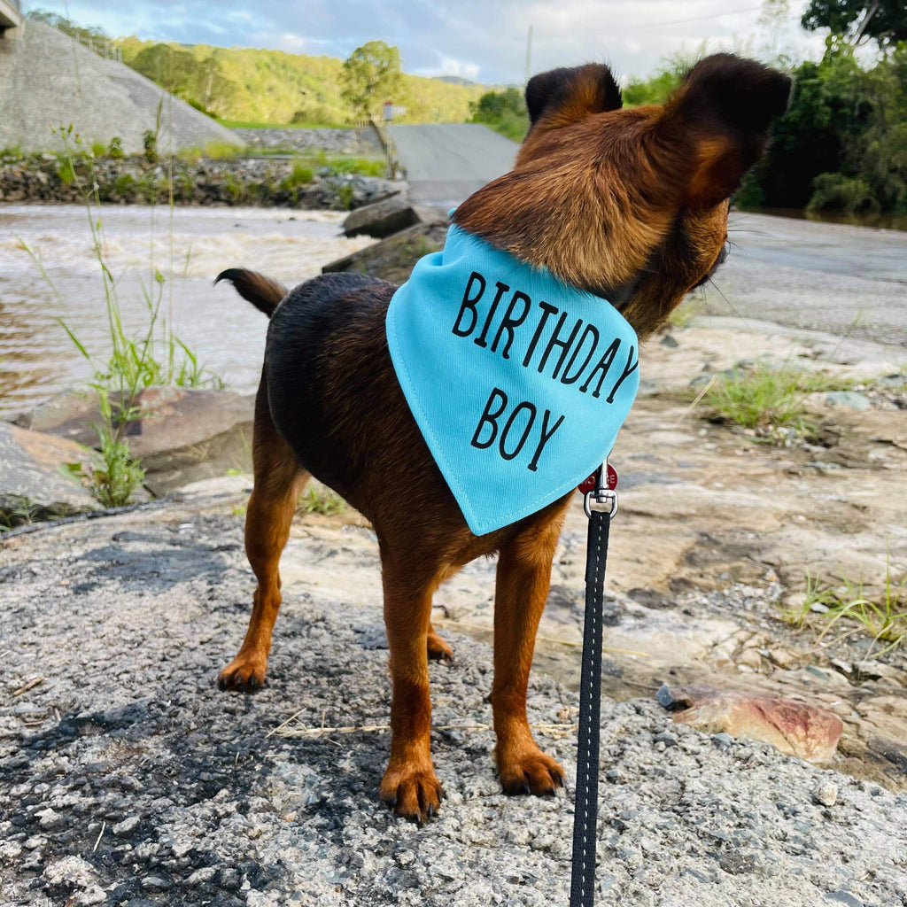 Birthday Dog Bandana - Birthday Girl/Birthday Boy