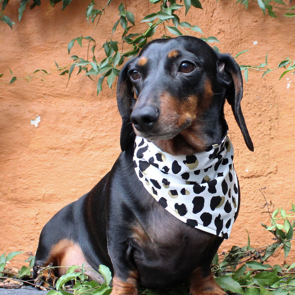 Dog Bandana - Leopard Print-That Dog Shop