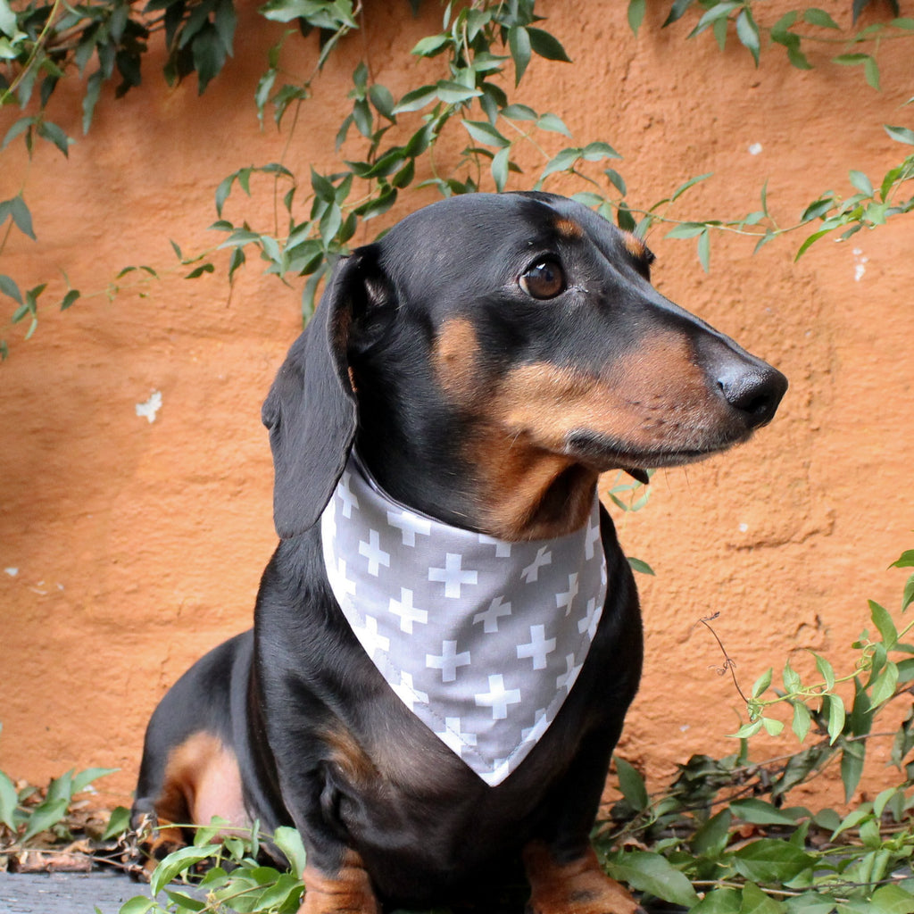 Dog Bandana - Cross Print-That Dog Shop