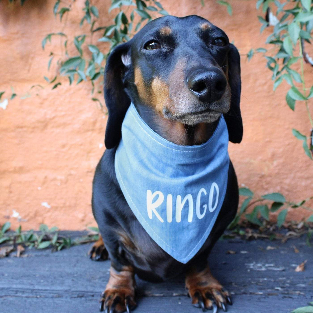 Dog Bandana - Chambray Denim-That Dog Shop