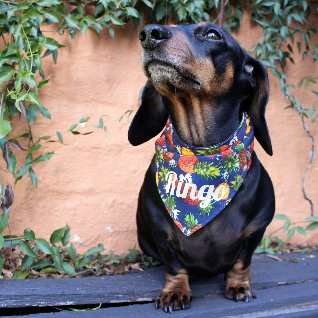 Dog Bandana - Pineapple Party-That Dog Shop