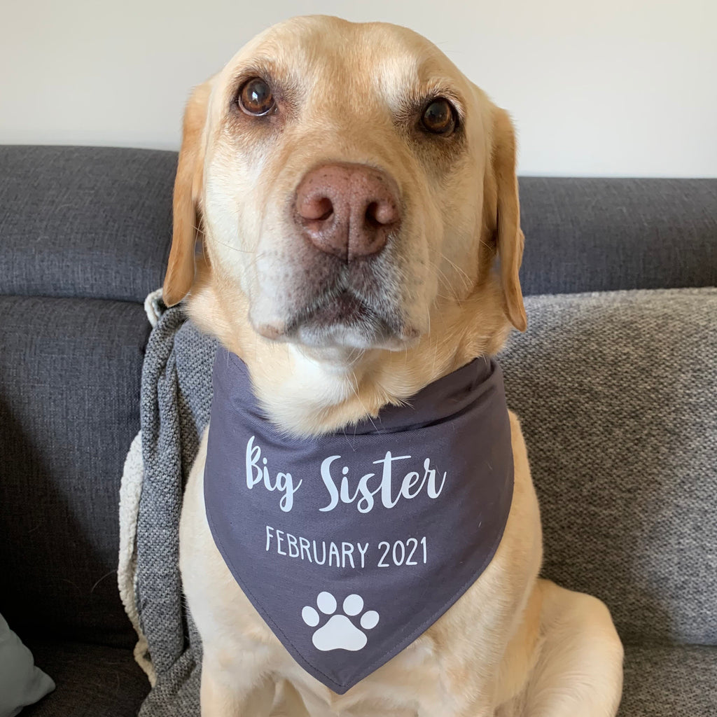 Pregnancy Announcement Dog Bandana Big Brother/Big Sister - Grey