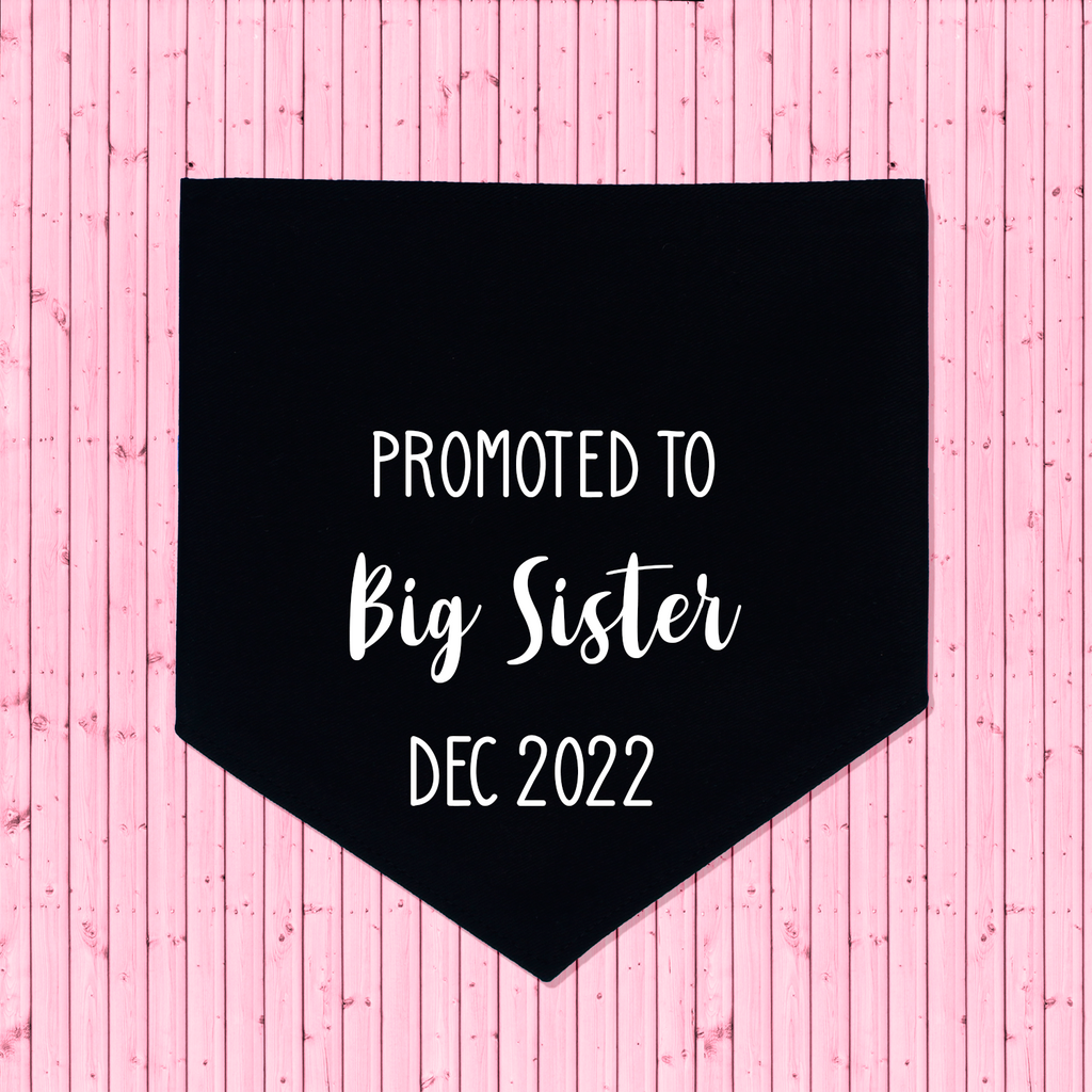 Pregnancy Announcement Dog Bandana Promoted to Big Brother/Big Sister - Black