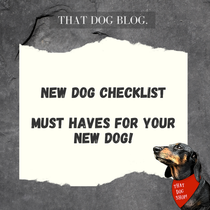 New Dog Checklist - Must haves for your new dog!