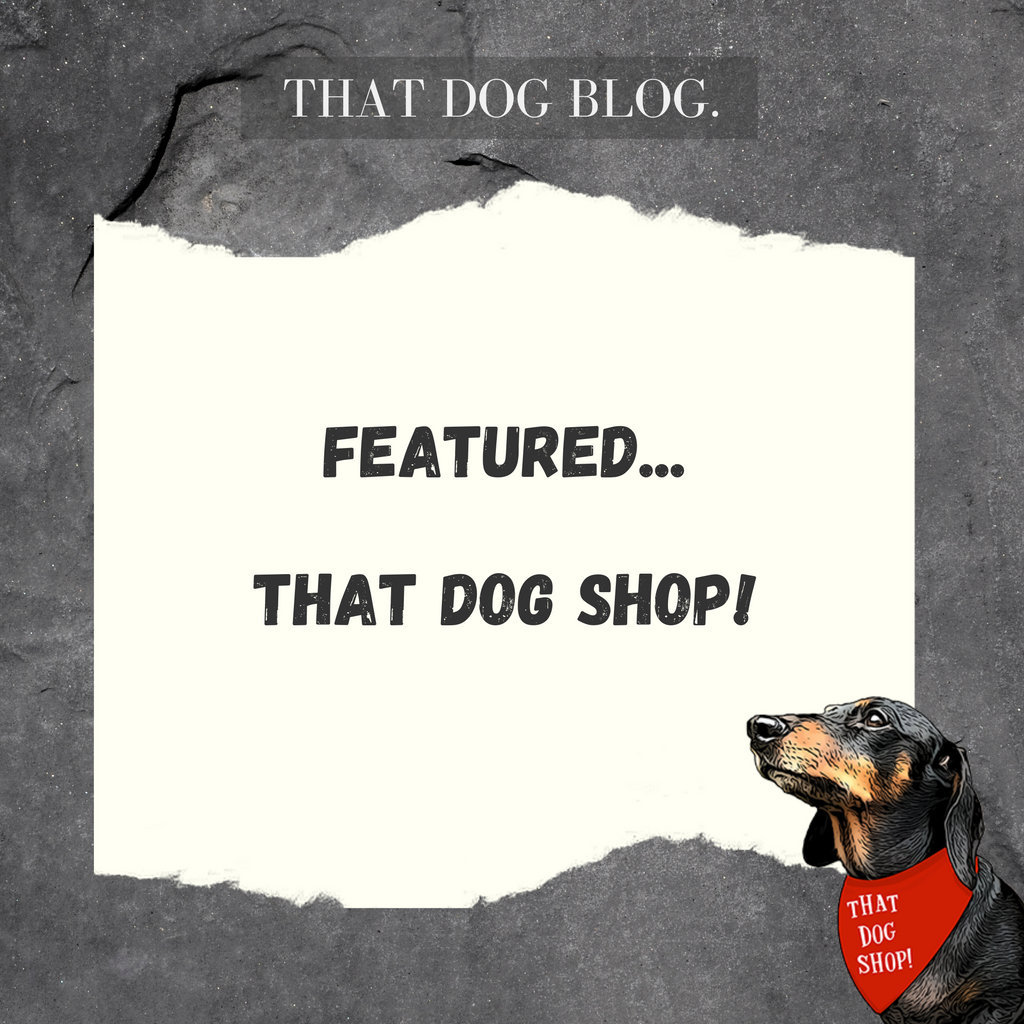 Featured - That Dog Shop!