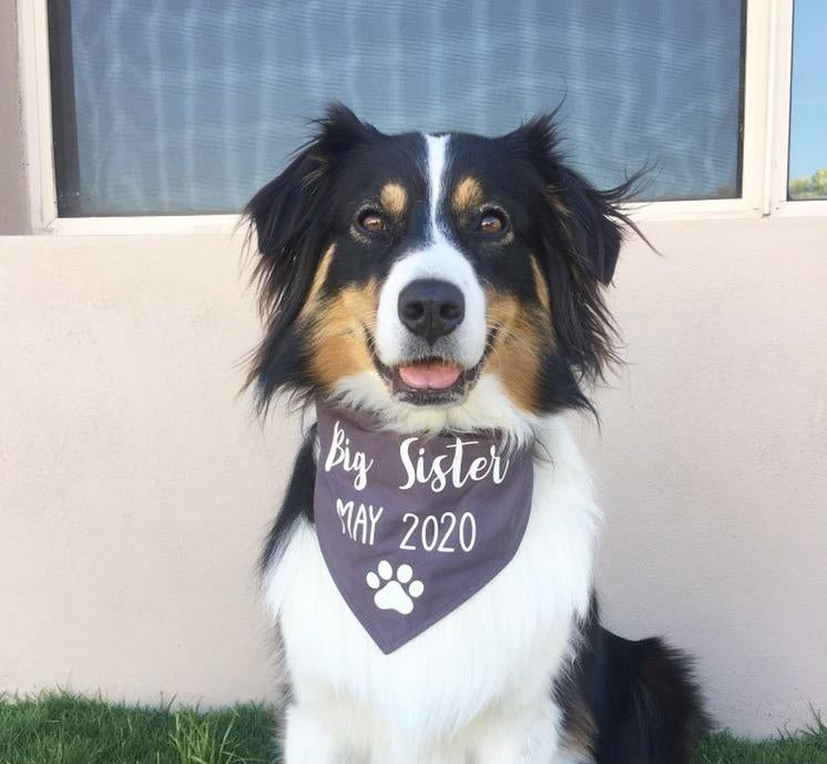 Pregnancy Announcement-That Dog Shop