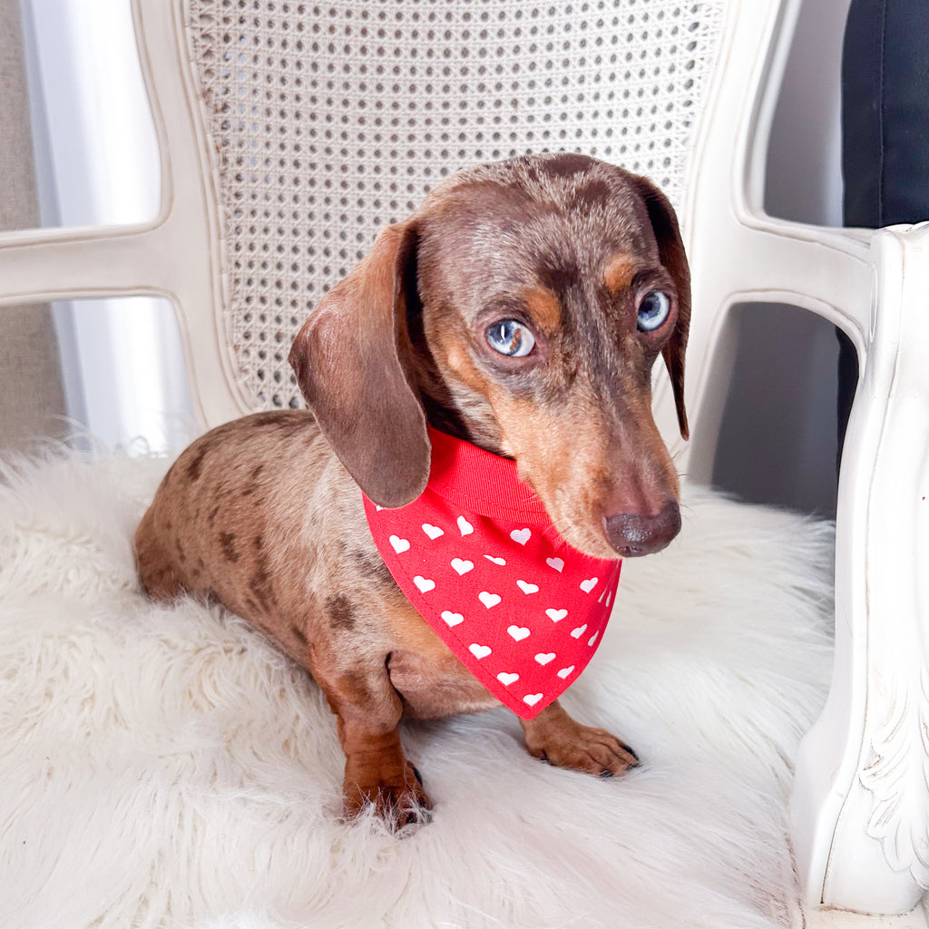 Valentina Skirt - Valentine's Day Love Hearts Paperbag Waist Button Skirt