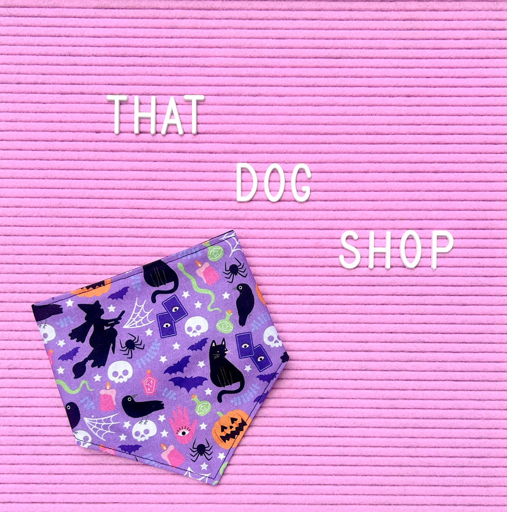 Dog Bandana - Halloween Purple Scatter Print