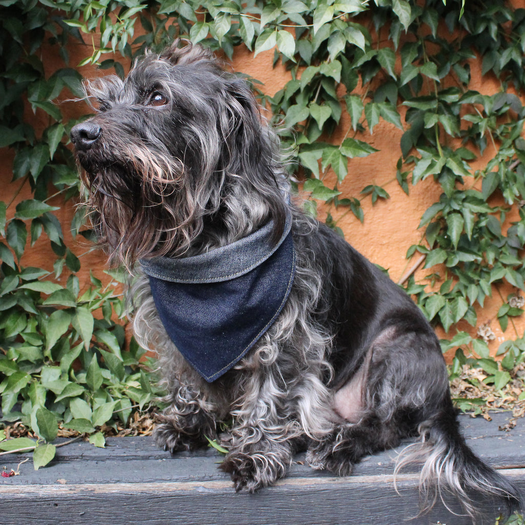 Dog Bandana - Double Denim