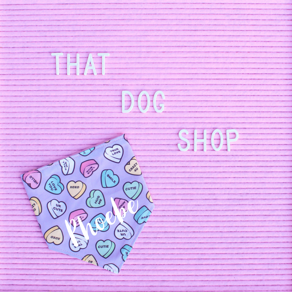 Dog Bandana - Valentine Candy Hearts