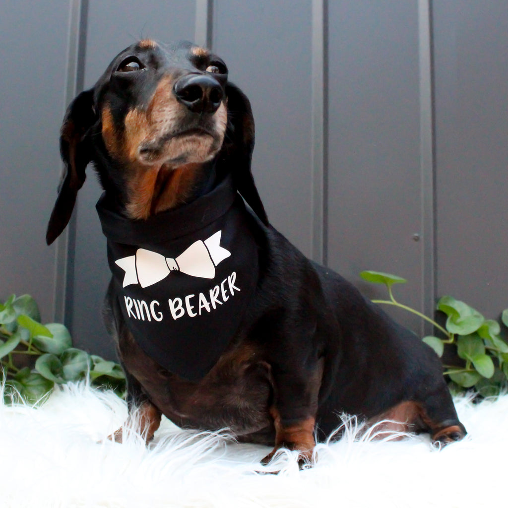 Engagement/Wedding Dog Bandana - Bow Tie Ring Bearer