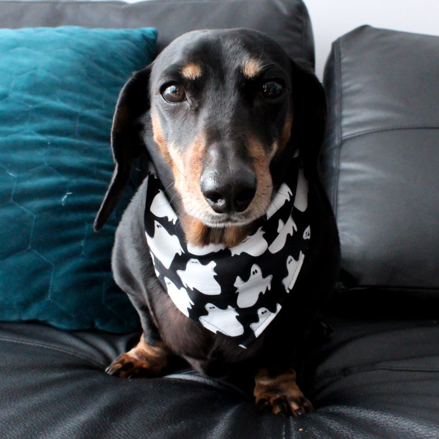 Dog Bandana - Halloween Ghost Print