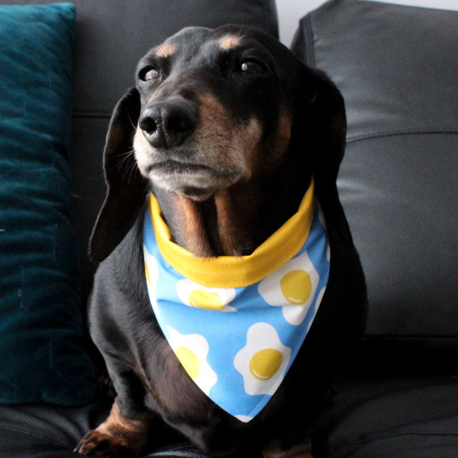 Dog Bandana - Egg Print