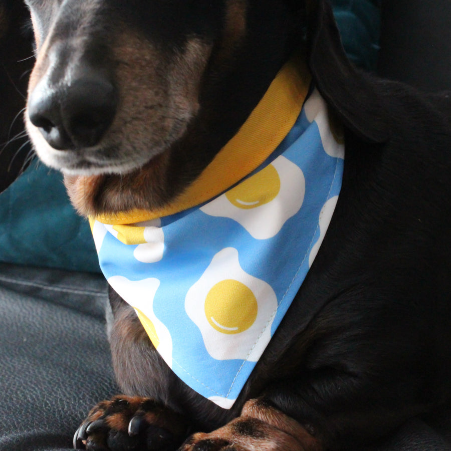 Dog Bandana - Egg Print