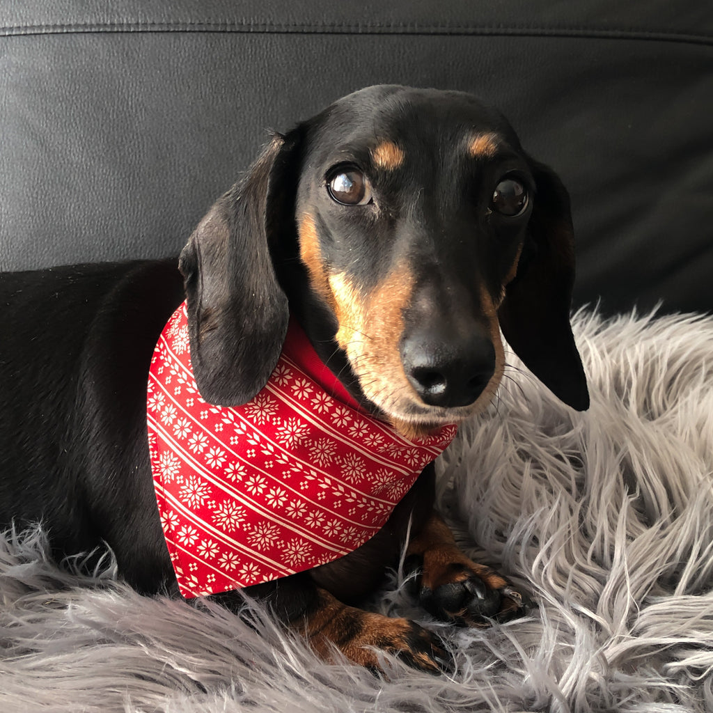 Dog Bandana - Snowflake Christmas Print