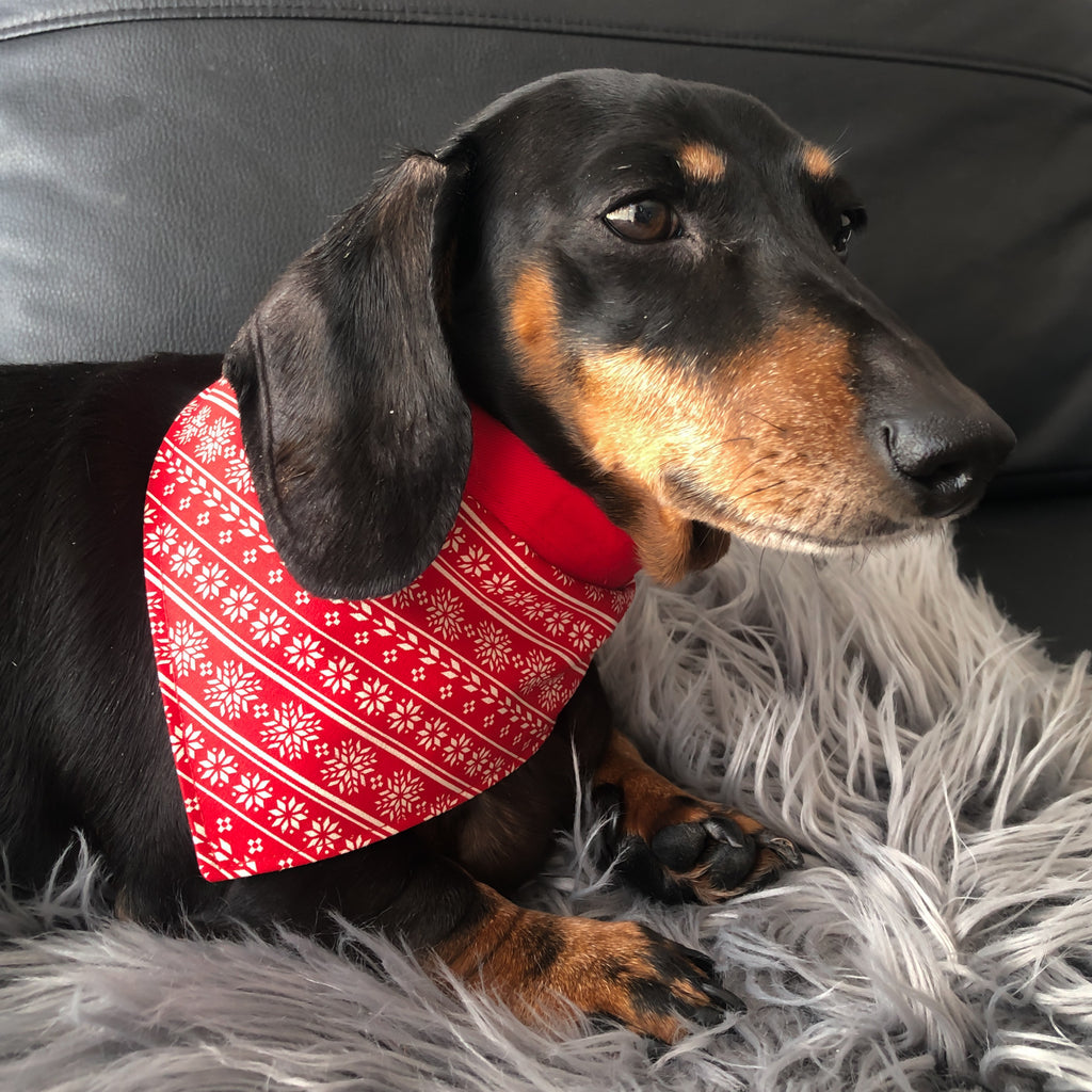 Dog Bandana - Snowflake Christmas Print