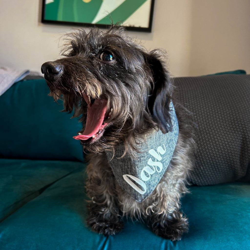 Dog Bandana - Charcoal Linen