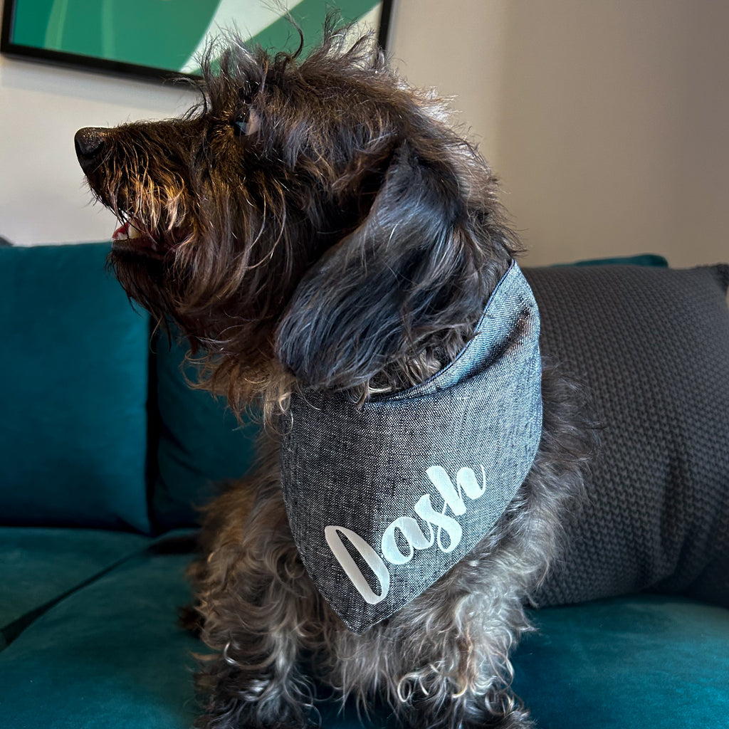 Dog Bandana - Charcoal Linen