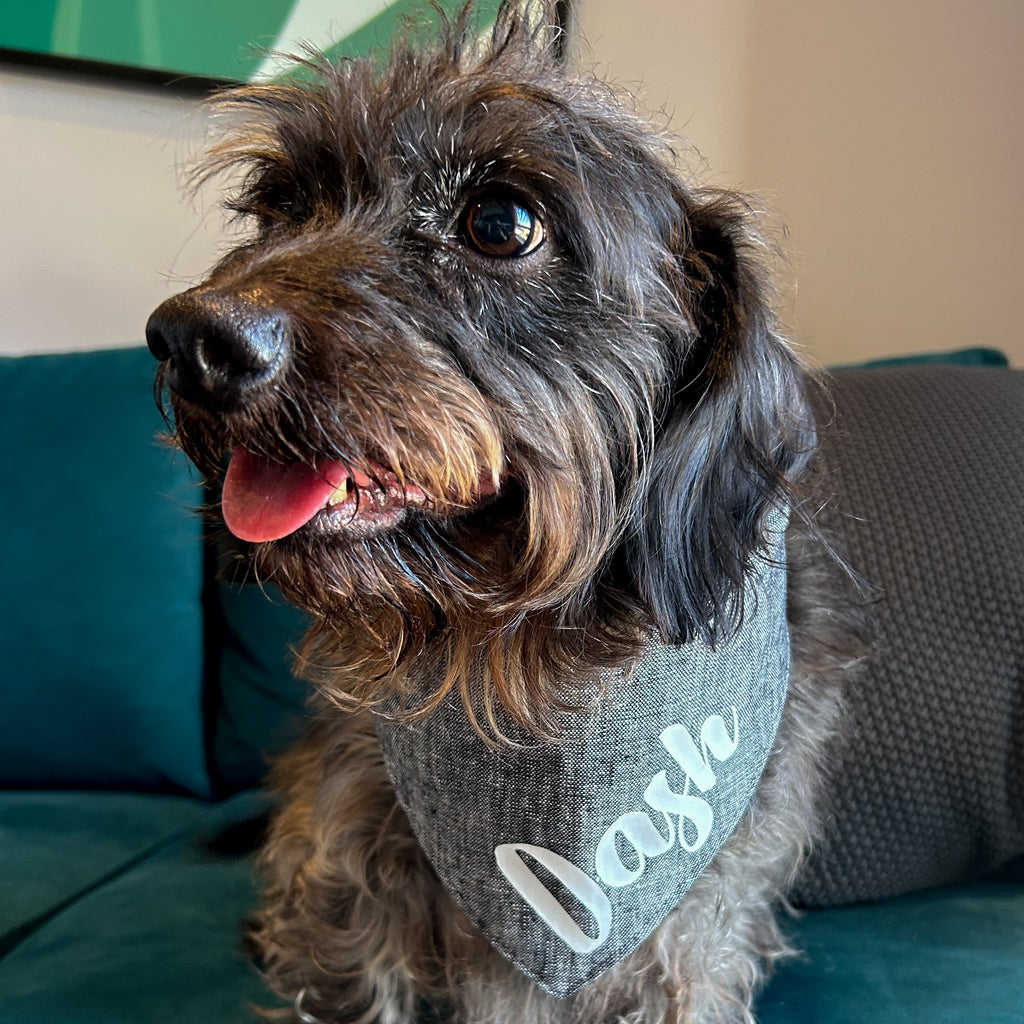 Dog Bandana - Charcoal Linen