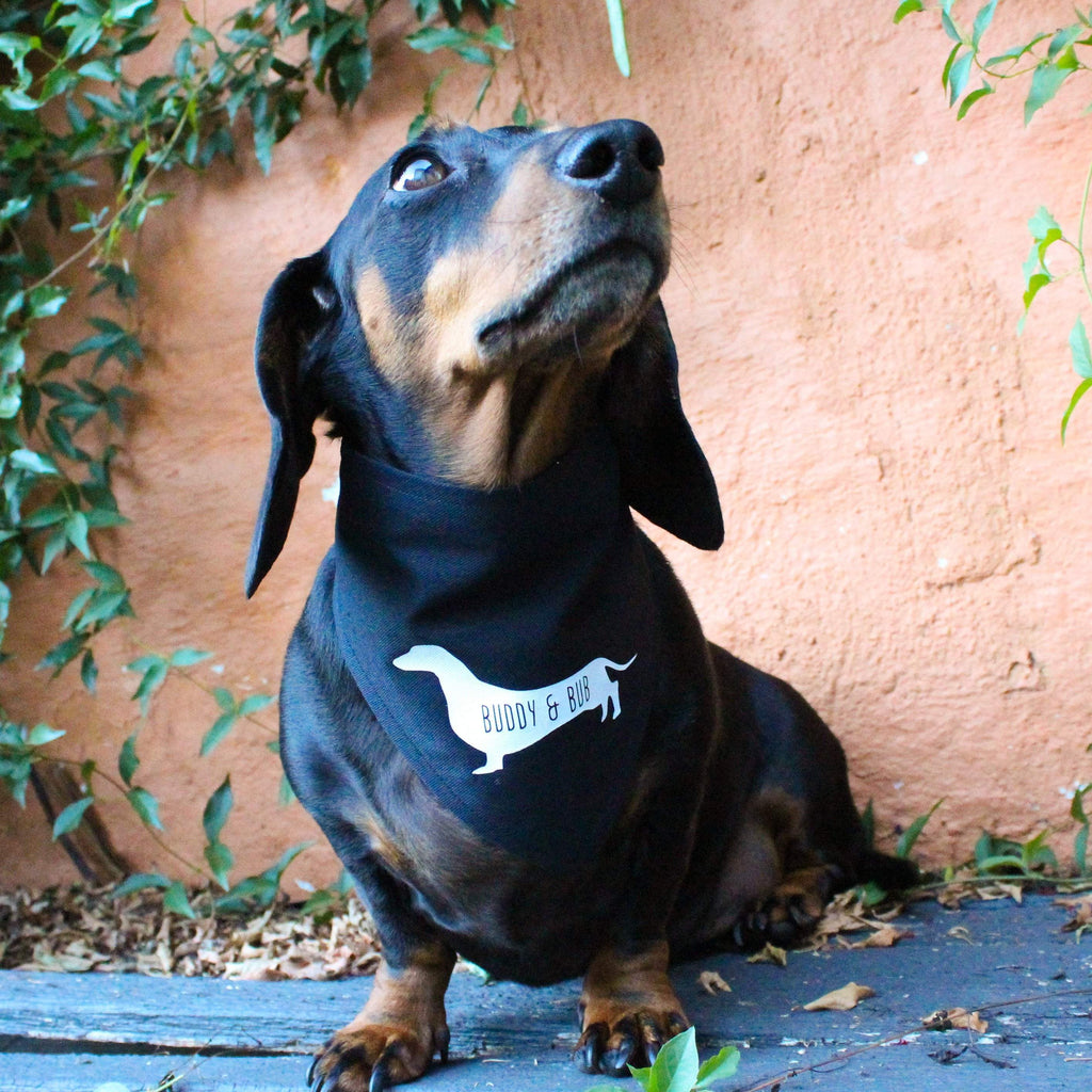 Custom Personalised Business Logo Dog/Pet Bandana-That Dog Shop