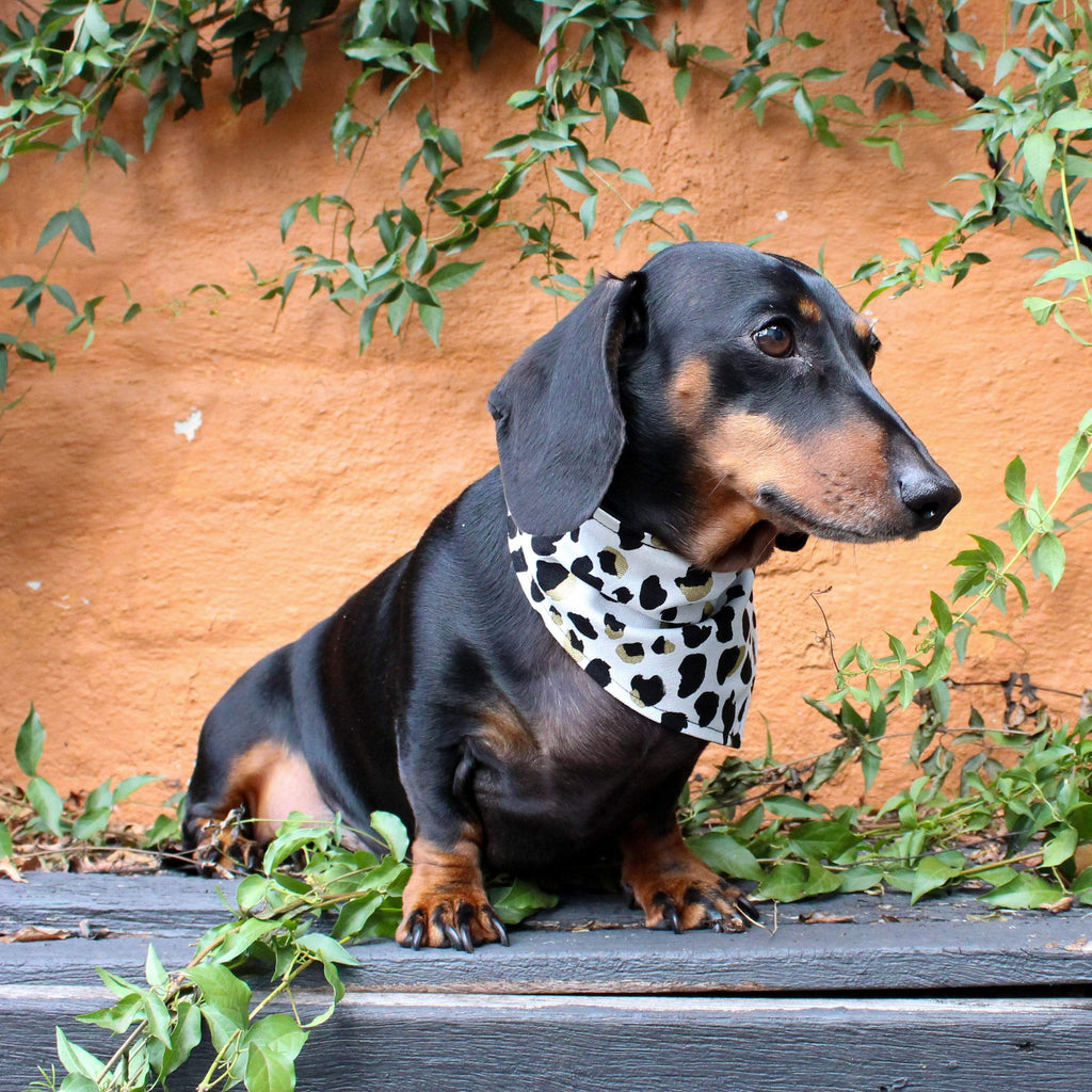 Dog Bandana - Leopard Print-That Dog Shop