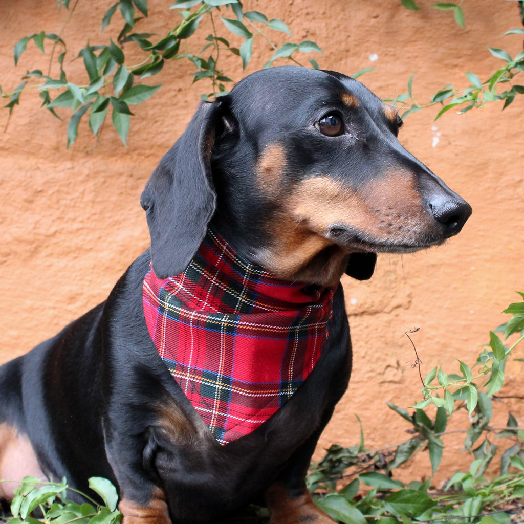 Dog Bandana - Red Tartan-That Dog Shop