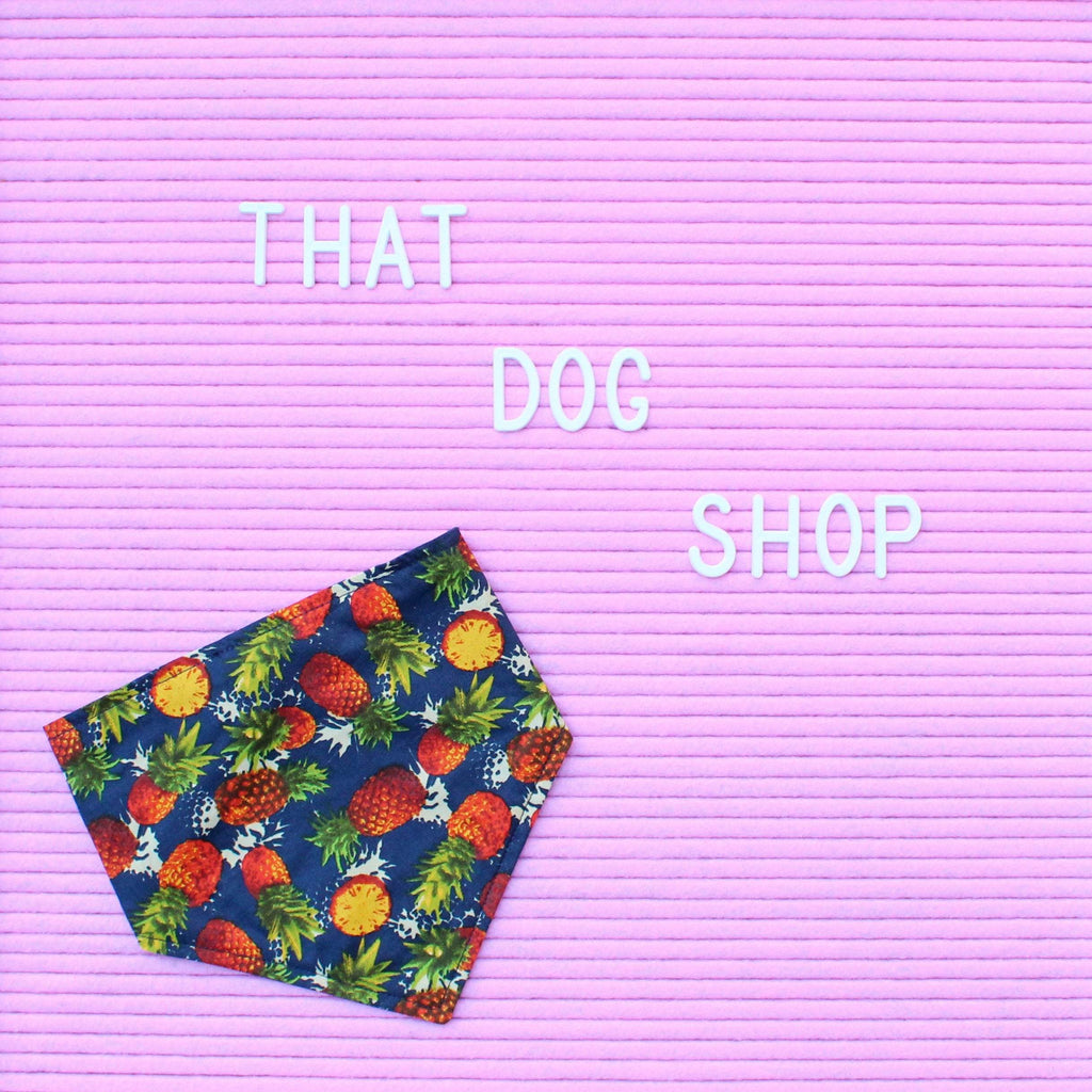 Dog Bandana - Pineapple Party-That Dog Shop