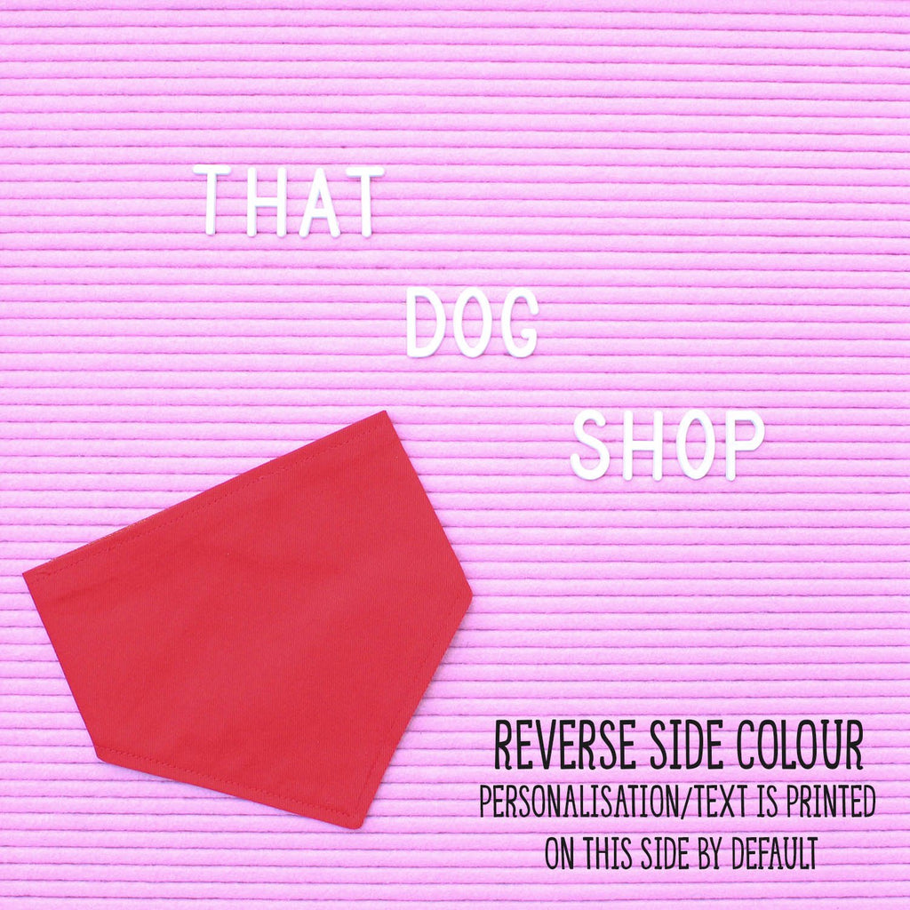 Dog Bandana - Ruby Slippers - LIMITED EDITION-That Dog Shop