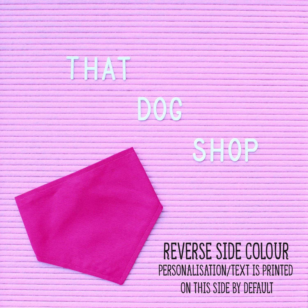 Dog Bandana - Rainbow Stripe-That Dog Shop