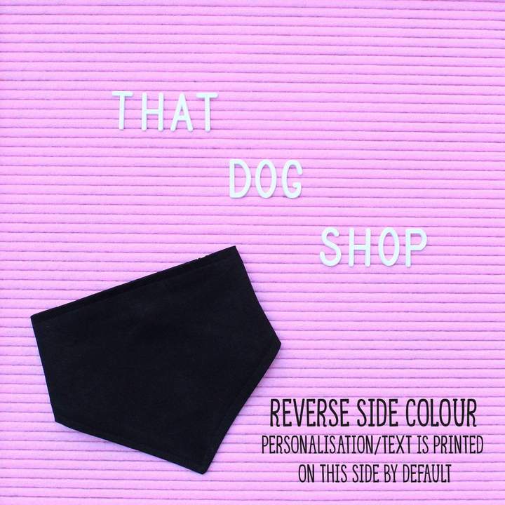Dog Bandana - Blue/Navy Check