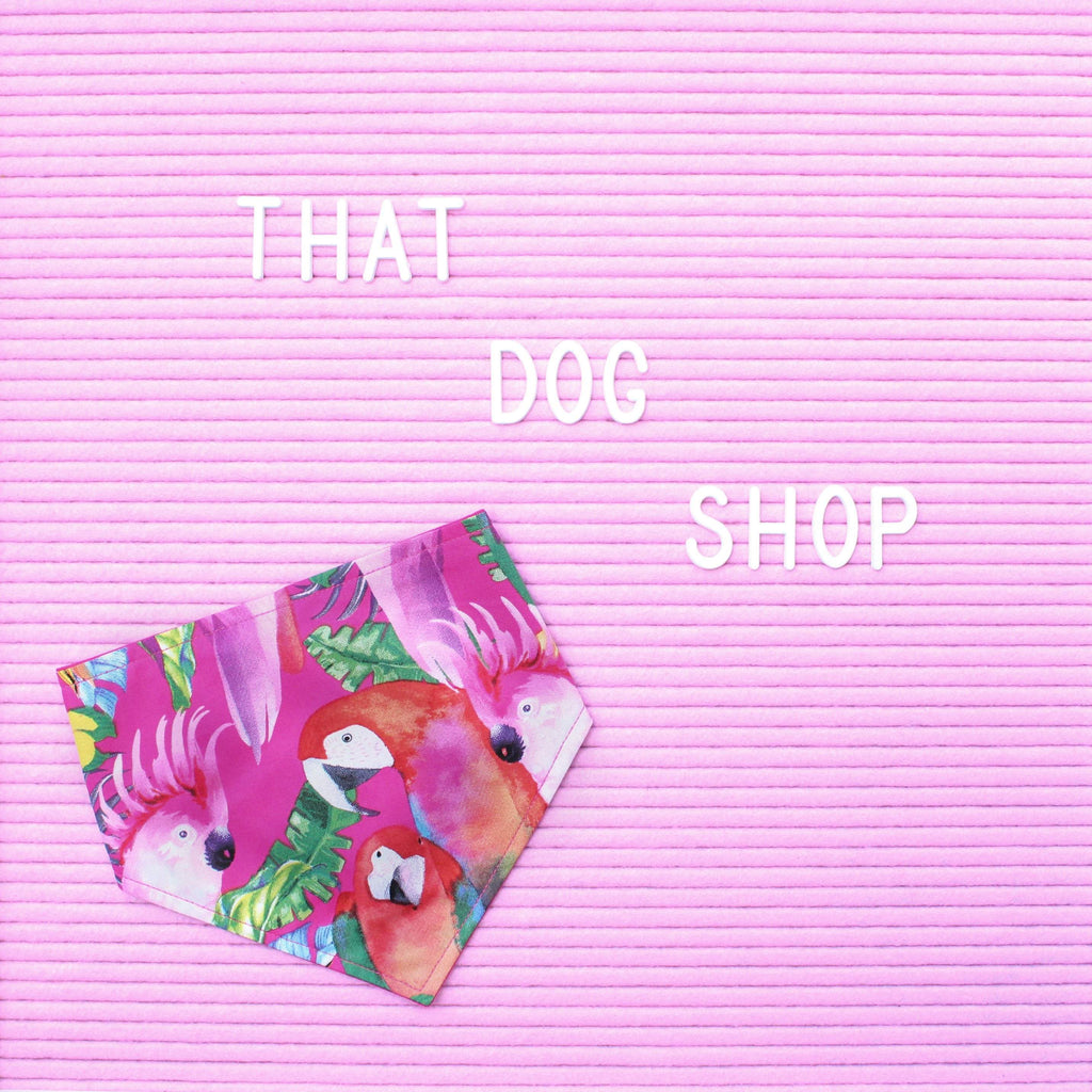 Dog Bandana - Parrots in Paradise-That Dog Shop