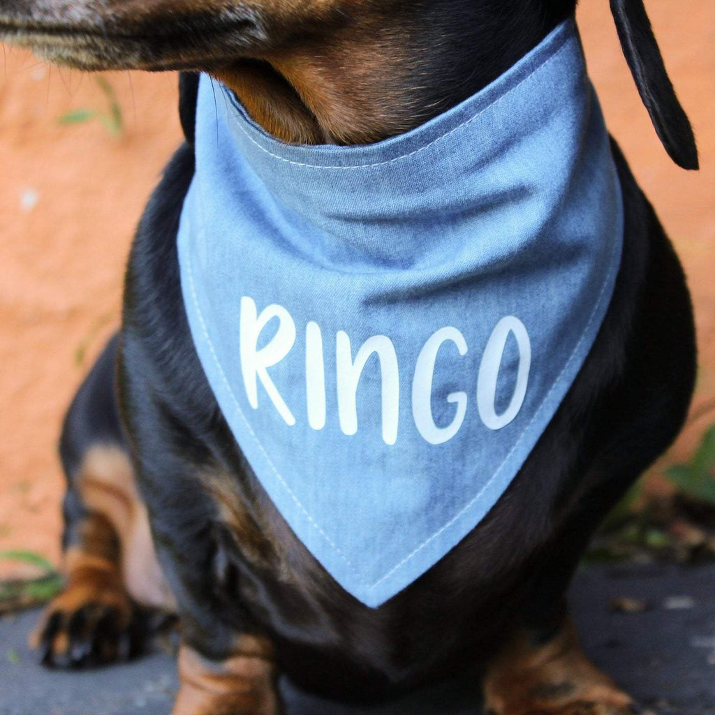 Dog Bandana - Chambray Denim-That Dog Shop