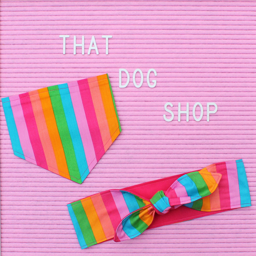 My Dog & Me Headscarf & Bandana Set - Rainbow