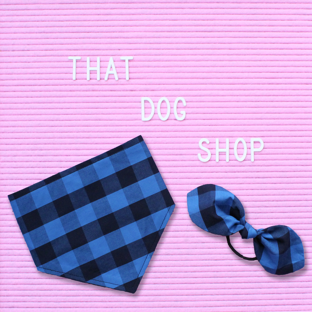 My Dog & Me Bow & Bandana Set - Blue/Black Check