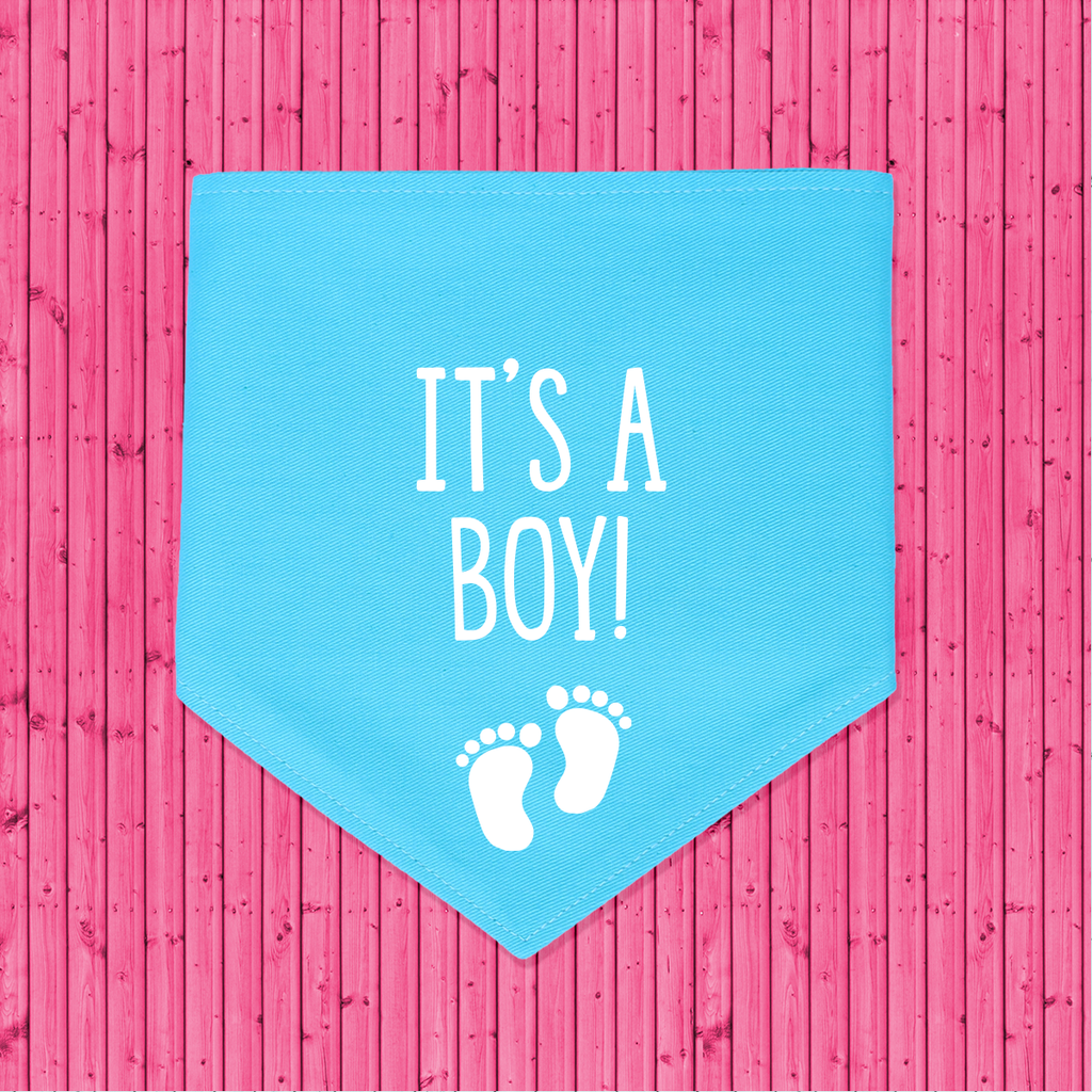 Gender Reveal Announcement Dog Bandana It's a Boy! - Blue