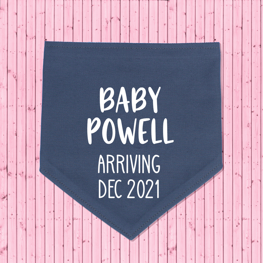 Pregnancy Announcement Dog Bandana Last Name/Due Date - Grey