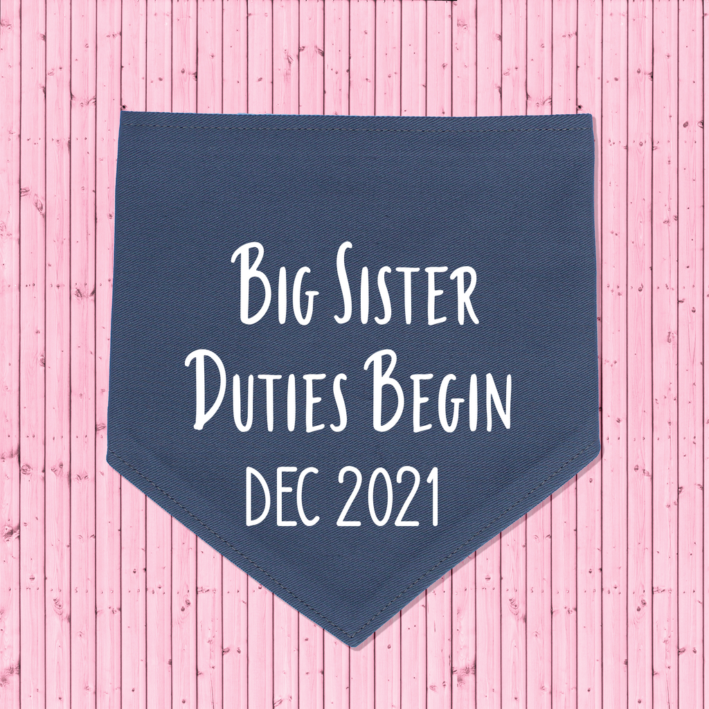 Pregnancy Announcement Dog Bandana Big Brother/Big Sister Duties Begin - Grey