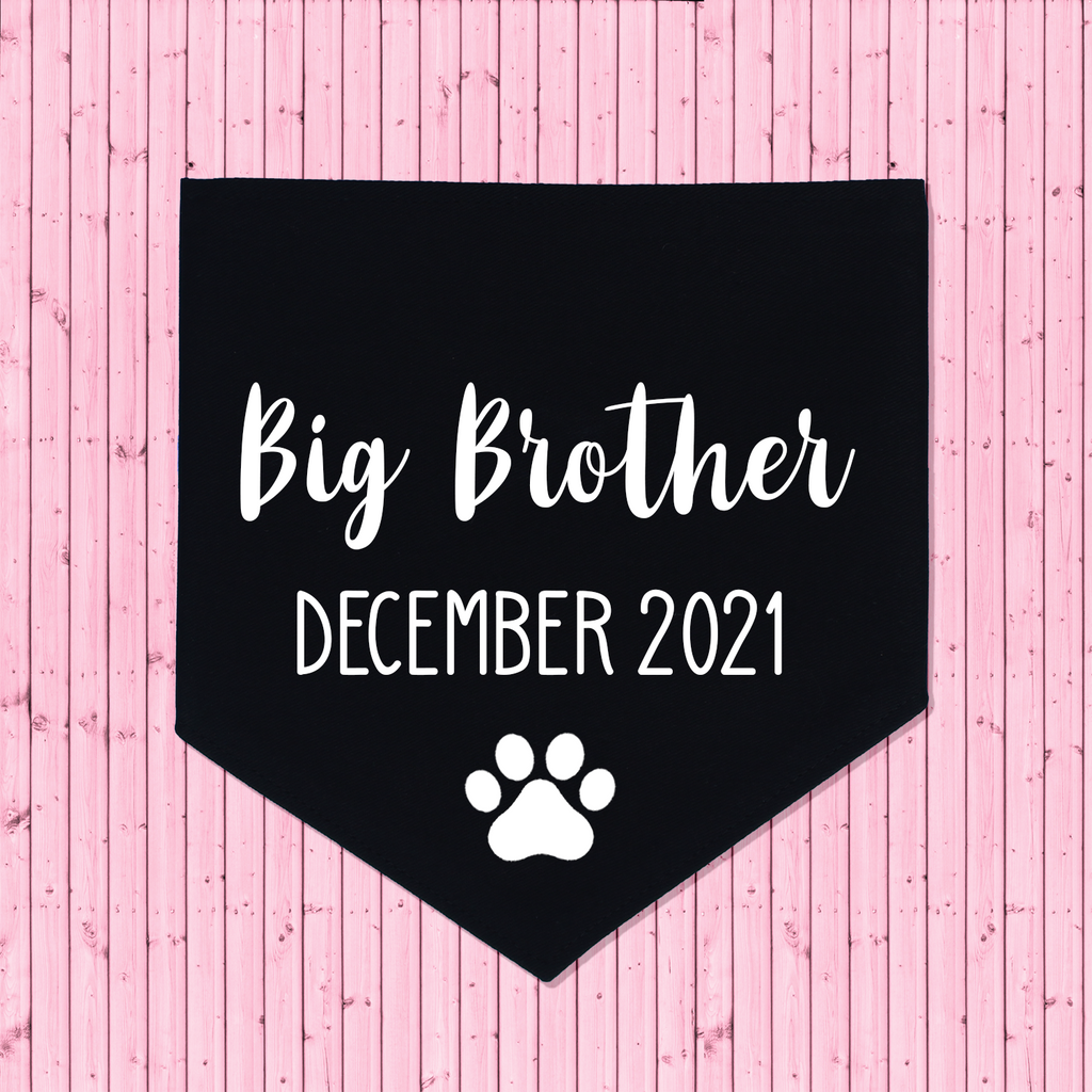 Pregnancy Announcement Dog Bandana Big Brother/Big Sister - Black