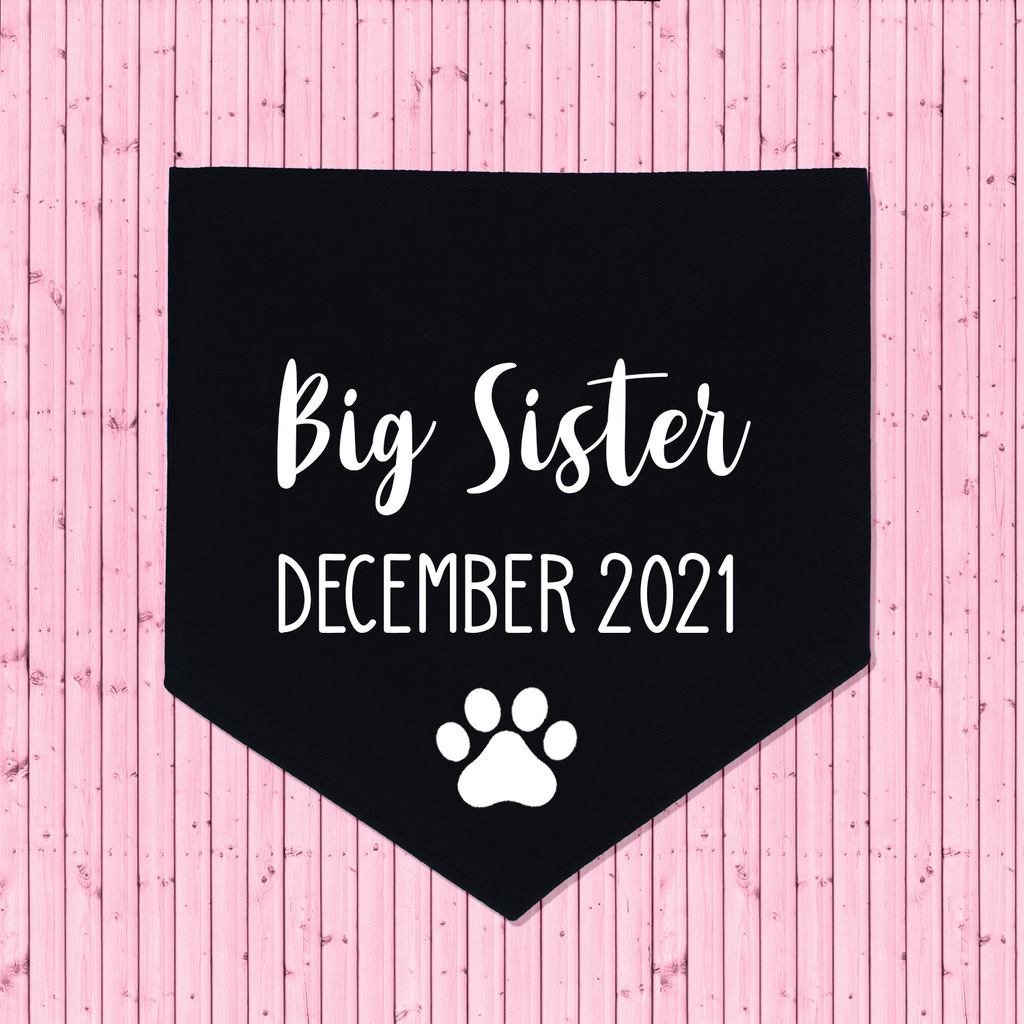 Pregnancy Announcement Dog Bandana Big Brother/Big Sister - Black