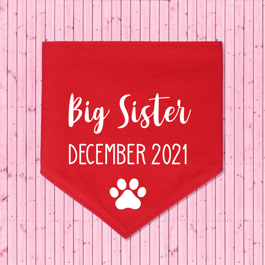 Pregnancy Announcement Dog Bandana Big Brother/Big Sister - Red