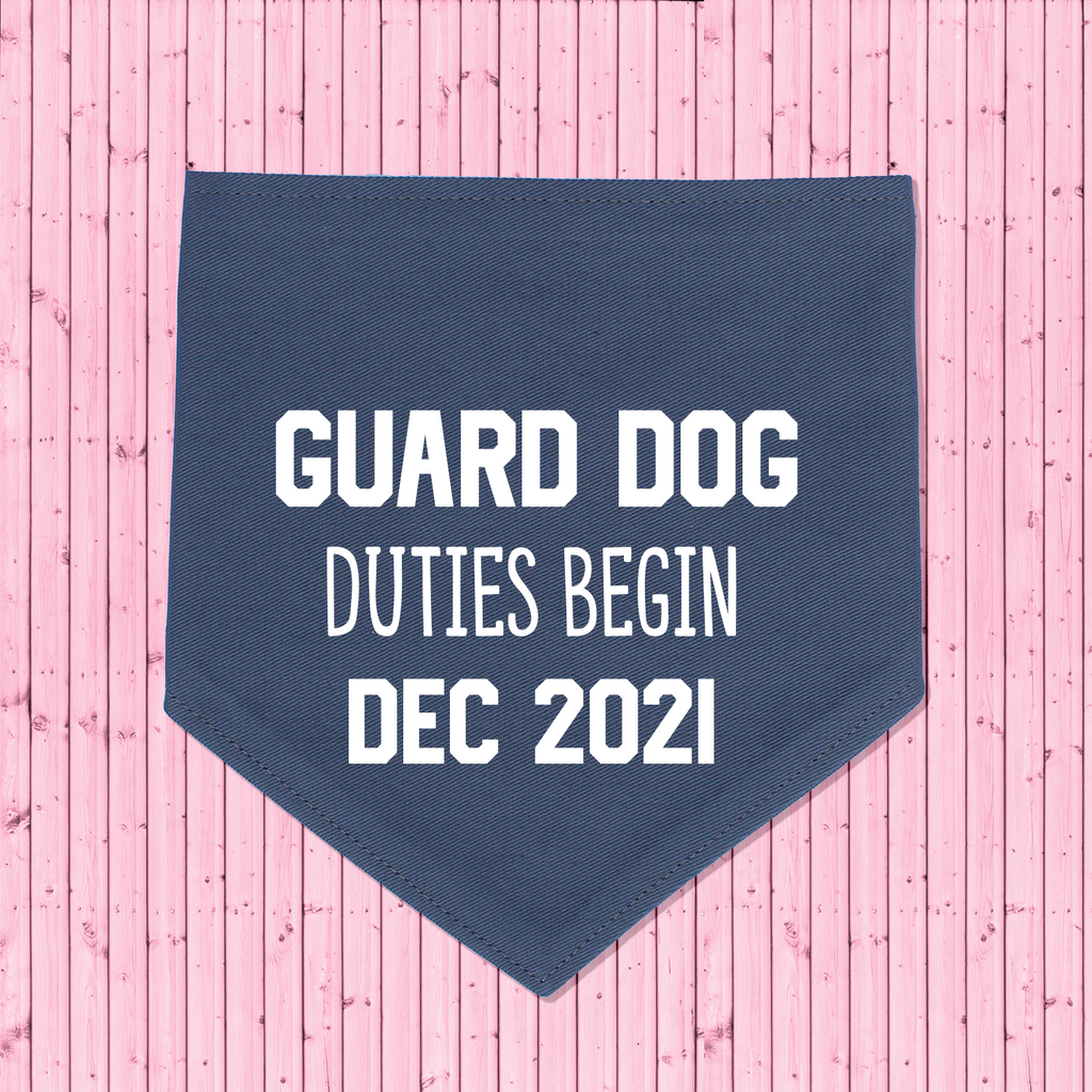 Pregnancy Announcement Dog Bandana Guard Dog Duties - Grey