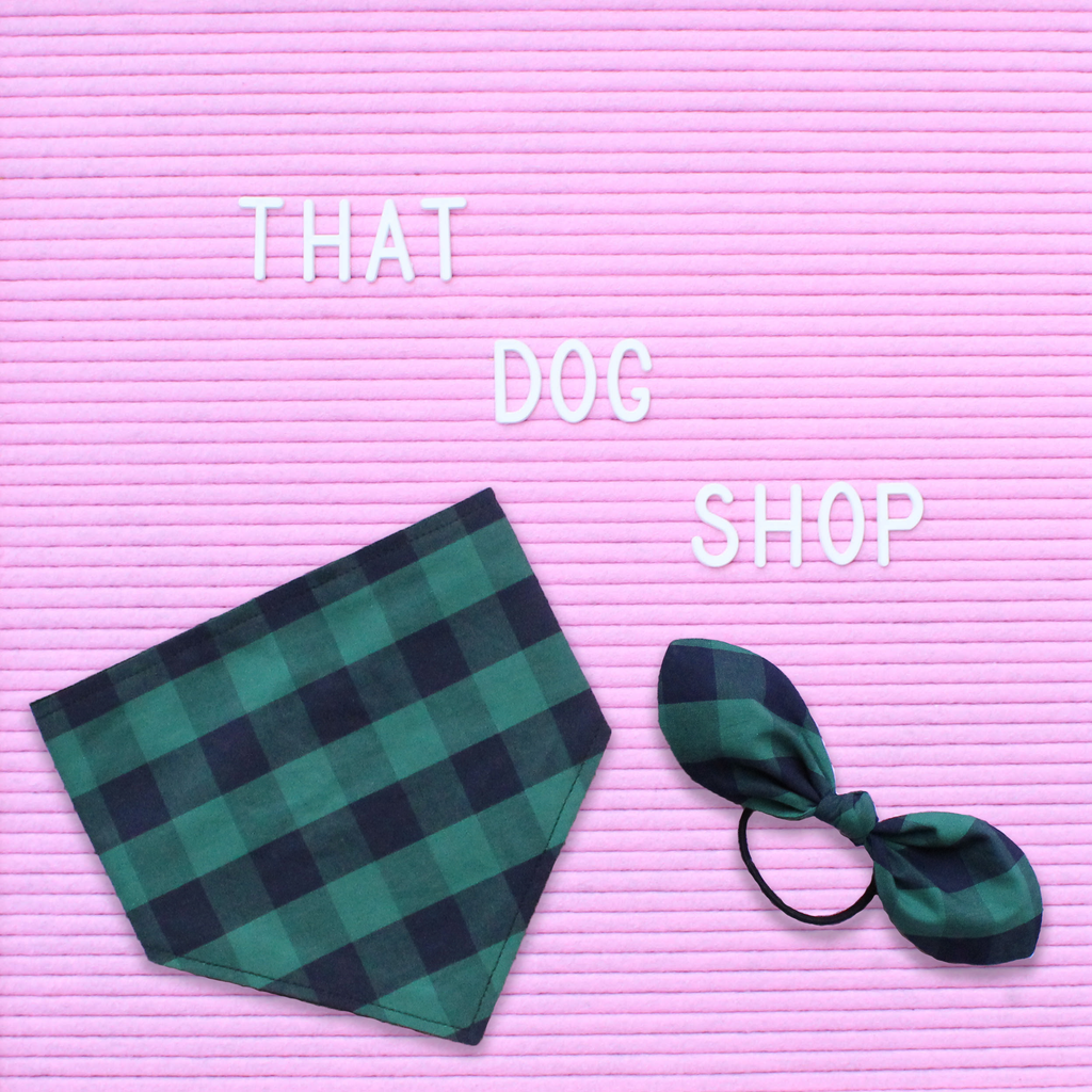 My Dog & Me Bow & Bandana Set - Green/Navy Check