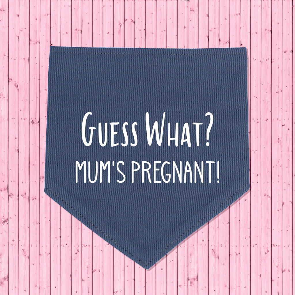 Pregnancy Announcement Dog Bandana Guess What? Mum's Pregnant! - Grey