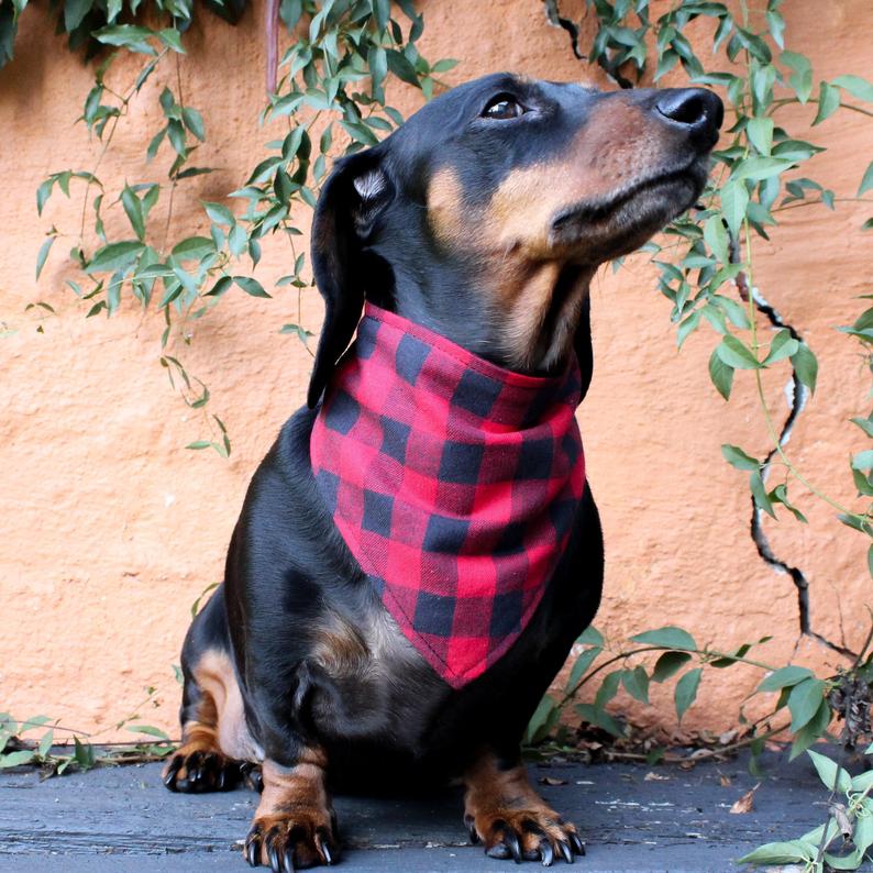 Dog Bandana - Red/Black Buffalo Check